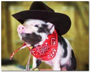Hillbilly Piglet