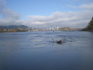 Willamette River at its widest Willamette River at its widest